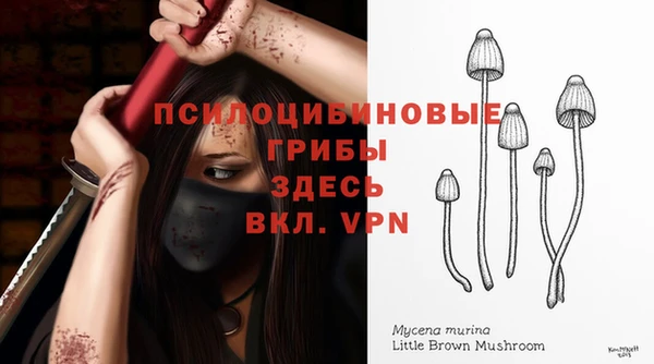 винт Баксан