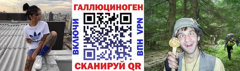 Псилоцибиновые грибы GOLDEN TEACHER  купить наркоту  hydra зеркало  Орлов 